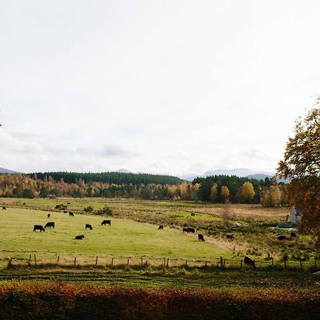 Апартаменты The Dell Of Abernethy - A Woodland Hideaway Нети-Бридж Экстерьер фото