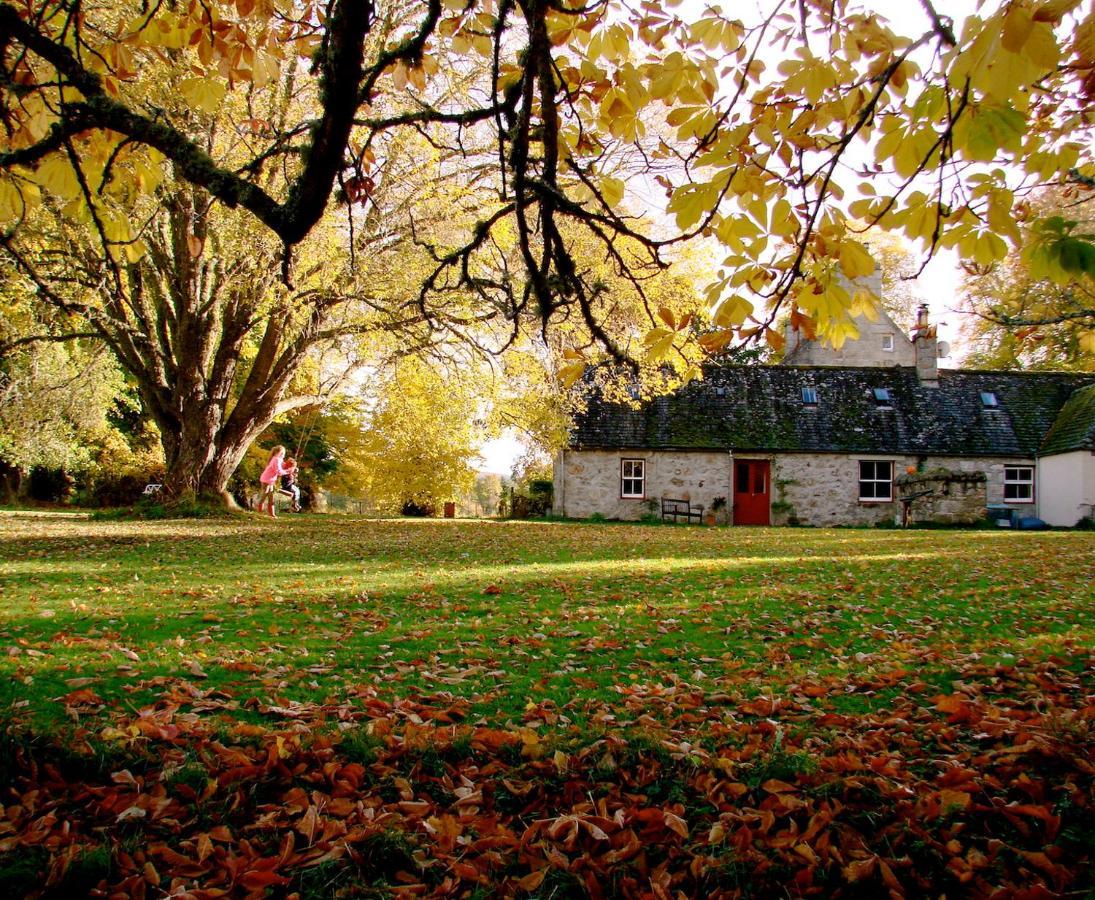 Апартаменты The Dell Of Abernethy - A Woodland Hideaway Нети-Бридж Экстерьер фото