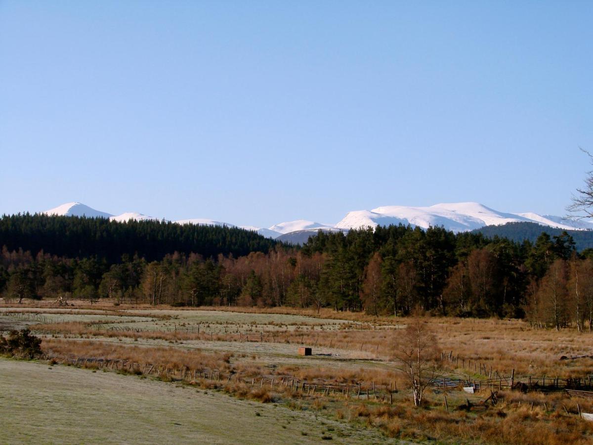 Апартаменты The Dell Of Abernethy - A Woodland Hideaway Нети-Бридж Экстерьер фото