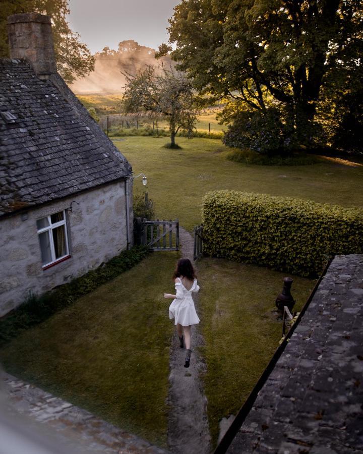 Апартаменты The Dell Of Abernethy - A Woodland Hideaway Нети-Бридж Экстерьер фото